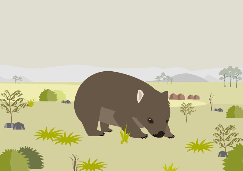 Wombat-illustratie DOWNLOAD-poster A3 afbeelding 3