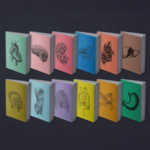 Anatomical Notebook: Heart, Brain, Kidney, Intestines, Eye, Ear, or Torso, Rib Cage, Skull, Liver, Lungs, Stomach | Vintage | 13 x 20 cm