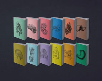 Notizbuch Anatomie |  Herz, Gehirn, Niere, Innereien, Auge, Ohr, Torso, Brustkorb, Schädel, Leber, Lunge, Magen |  Medizin | 13x20 cm