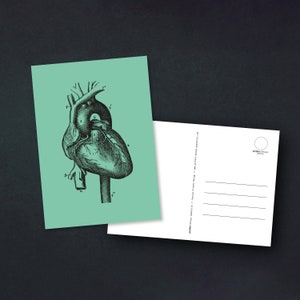 Postkarte | "Human Heart" | Menschliches Herz | anatomische Vintage Zeichnung | A6