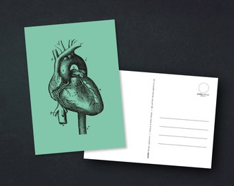 Postkarte | "Human Heart" | Menschliches Herz | anatomische Vintage Zeichnung | A6