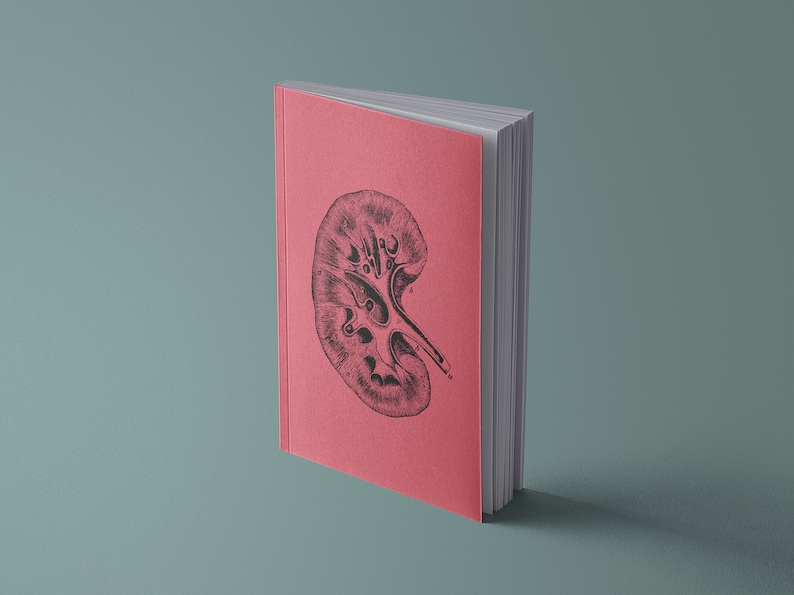 Notebook Human Heart, Brain, Kidney, Innards, Eye, Ear or Torso, Rib Cage, Skull Anatomical vintage drawing 13x20cm Niere | pinkrot