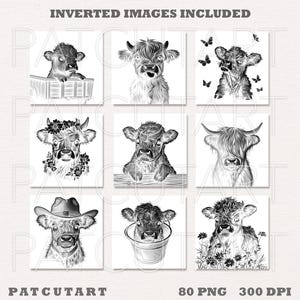 May include: Set of 8 black and white digital illustrations of Highland cows. The illustrations feature different poses and expressions of the cows. The images are perfect for crafting projects, scrapbooking, and digital design.