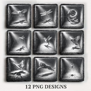 May include: Twelve grayscale PNG designs showcasing an owl, dragonfly, bee, hummingbird, bird, butterfly, lion, and spider. Each design is set within a square frame with a spotlight effect. The text "12 PNG DESIGNS" is at the bottom of the image.
