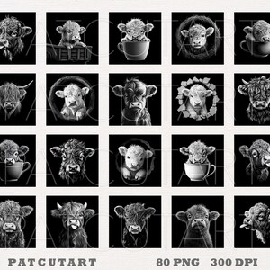May include: A set of 20 black and white digital clipart images featuring Highland cattle in various poses, including drinking from a cup, wearing a crown, and looking at the camera. The images are perfect for use in digital scrapbooking, card making, and other creative projects.