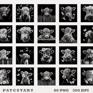 May include: A set of 20 black and white digital illustrations of Highland cattle with butterflies. The illustrations are in a square format and feature various poses of the cattle, including standing, lying down, and looking at the viewer.