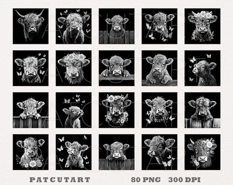 May include: A set of 20 black and white digital illustrations of Highland cattle with butterflies. The illustrations are in a square format and feature various poses of the cattle, including standing, lying down, and looking at the viewer.