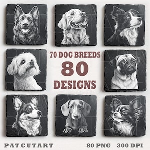 Pode incluir: Uma coleção de oito porta-copos quadrados de ardósia com ilustrações detalhadas em preto e branco de várias raças de cães. O texto central diz 70 DOG BREEDS 80 DESIGNS. Abaixo inclui PATCUTART, 80 PNG e 300 DPI.