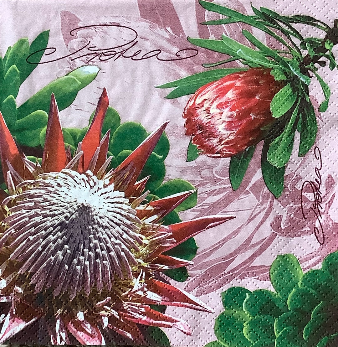 Protea Wall Art Mini Canvas Print South African Art Etsy