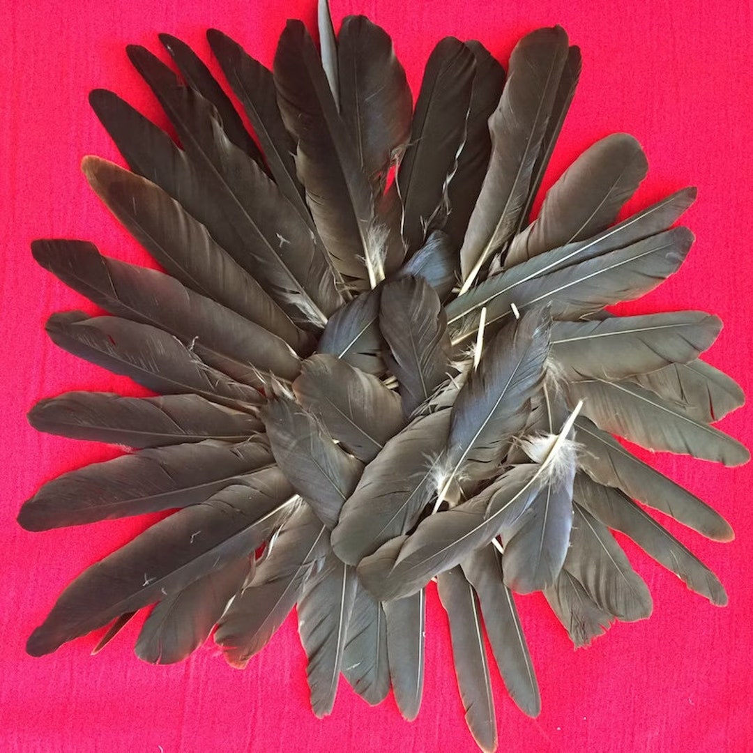 Crow Feathers - Etsy