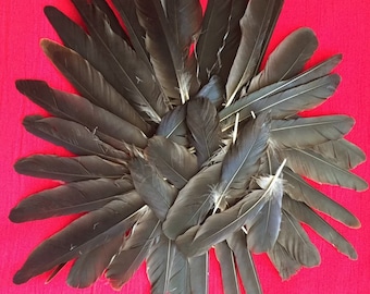 Puede incluir: Una colección de plumas de color gris oscuro dispuestas en un patrón circular sobre un fondo rojo brillante.