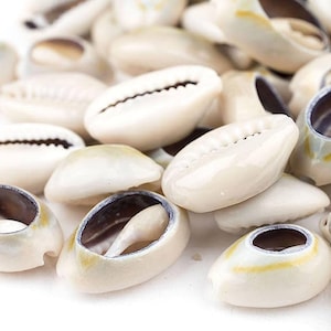 May include: A close-up of a pile of white cowrie shells with brown and black markings. The shells are smooth and glossy.