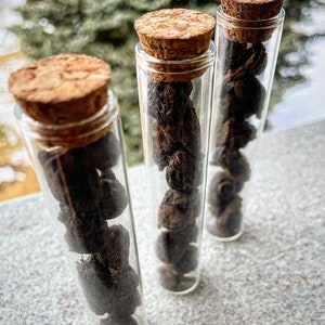 May include: Three glass test tubes with cork stoppers filled with dried black berries.