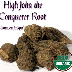 High John the Conqueror Root (Whole)