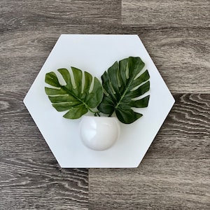Puede incluir: Un macetero hexagonal blanco de pared con dos hojas tropicales verdes y una maceta de cerámica blanca.