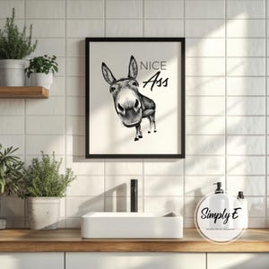 May include: Black framed art print featuring a grayscale illustration of a donkey with the text "NICE Ass". The artwork is displayed in a bathroom setting with plants and a white sink.