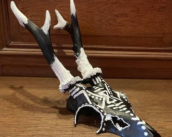 Deer Skull, Buck Antler, Real Bone, Animal Skull