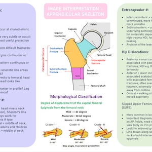 Image Interpretation Revision Posters