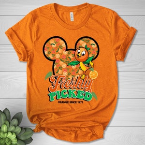 Vintage Epcot Orange Bird Shirt, Orange Bird Hello Sunshine Shirt, Family Vacation Shirt, Magic Kingdom Birthday Gifts For Baby NFOA06