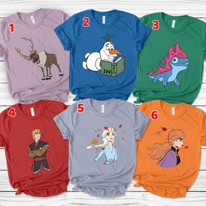 Disney Frozen Group Characters Shirt, Disney Princess Shirt, Frozen Family Birthday Shirt, Disney Trip, Disneyland Shirt N-06122202