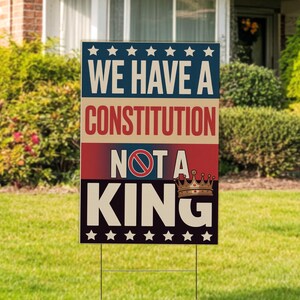 No Kings In America Protest Sign, Anti-Trump Resistance, Political Activist Sign, Rally Sign, Resist Fascism Protest Sign C1HG02