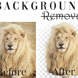 Professional Image Background Removal & PNG Conversion