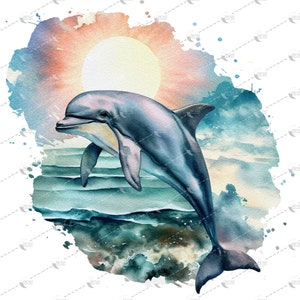 Watercolor Dolphin Design PNG, Dolphin Clipart Graphics, Downloadable Dolphin Image