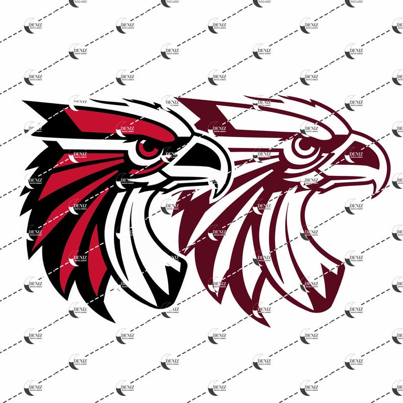 Falcons Cricut File - Etsy