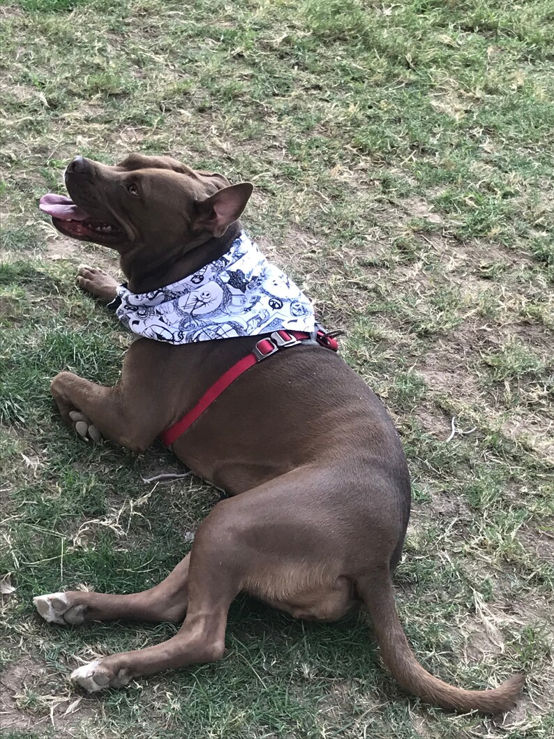 Pet Clothing Dog Bandana Dog lover gift Dog Lover gift Nightmare Before Christmas Gifts Dogs Dog Accessories
