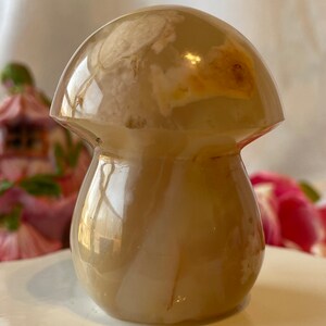 Beautiful Flower agate mushroom