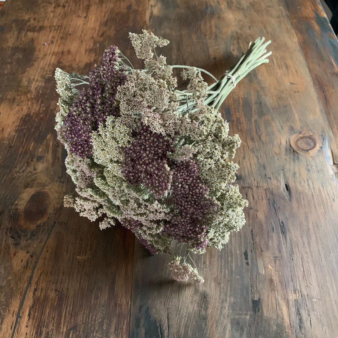 Dried Yarrow Bunch, Dried Yarrow Bouquet, Naturally Dried Flower Bundle