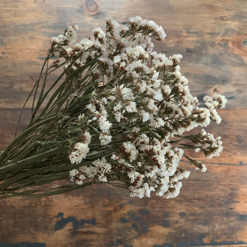 Dried White Statice Bunch, Dried Statice Bouquet, Naturally Dried Flower Bundle, White Bouquet