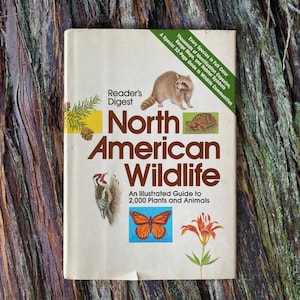 Reader&#39;s Digest North American Wildlife - 1982 - Illustrated Nature Guide - Collectors Natural History Book - Gift for Nature Lovers