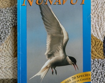 RARE - Birds of Nunavut - Vintage 1990s - Baffin Board of Education - Canadian Wildlife Service - Vintage Arctic Nature Guide Book 1990s