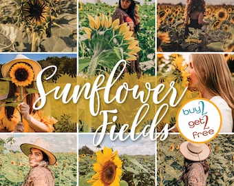 Puede incluir: Un preset digital para la edición móvil de Lightroom, con una paleta de colores cálidos y dorados. El preset está diseñado para mejorar las fotos de campos de girasoles, con el texto "Sunflower Fields" y "Buy 2 Get 2 Free" mostrado en la imagen.