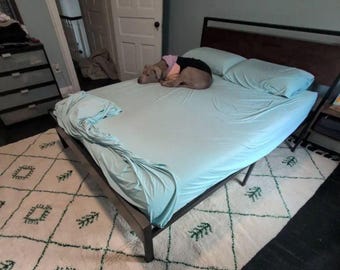 FANTASTIC Moroccan Rug, White and Green Geometric Beni Ourain Rug, Custom Abstract Wool Rug, Area Diamond Rug for Minimalist Home Decor