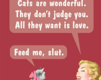 Cats Are Wonderful They Dont Judge You a Funny 2x3 Refrigerator Magnet with Glossy Finish .Great Stocking Stuffer.