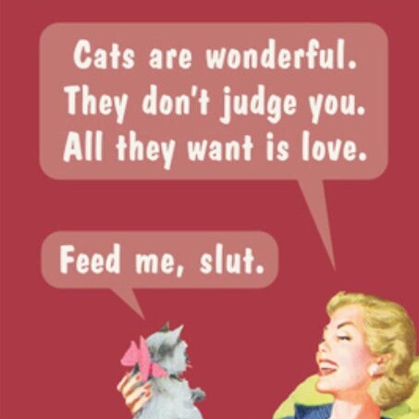 Cats Are Wonderful They Dont Judge You a Funny 2x3 Refrigerator Magnet with Glossy Finish .Great Stocking Stuffer.