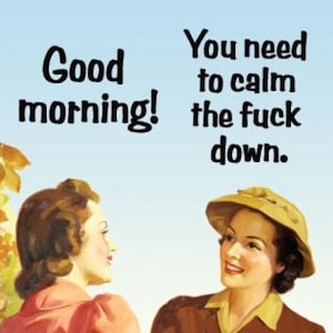 Funny Refrigerator Magnet: Good Morning, Calm Down - Glossy Finish