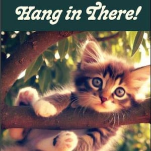 Hang In There Kitten Refrigerator Magnet: Funny Cat Gift (2x3)