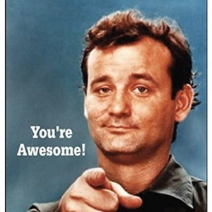 You’re Awesome Words From Bill Murray on a 2x3 Steel Refrigerator Magnet with Glossy Finish.Gift For Him or Her.