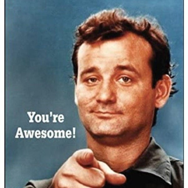 You’re Awesome Words From Bill Murray on a 2x3 Steel Refrigerator Magnet with Glossy Finish.Gift For Him or Her.