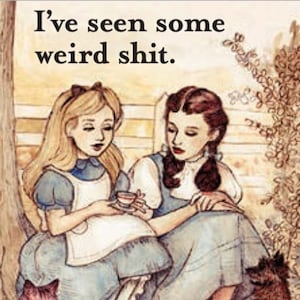 I’ve Seen Some Weird Shit.All on a 2x3 Refrigerator Magnet with Glossy Finish and Metal Construction.A Gift For Him or Her.