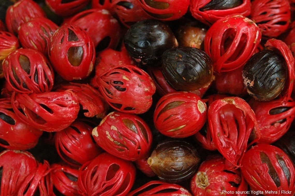 Premium Organic Nutmeg Seed Cover pure Ceylon Srilanka Etsy UK