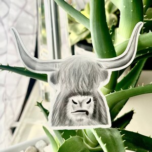Highland Cow Sticker - “Panchito”