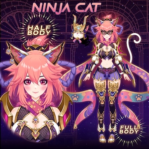 Ninja Cat Girl Live2D Vtuber Model: Full Body Anime Assassin