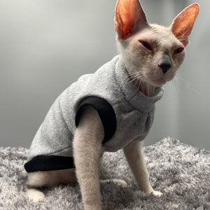 Pull chaud pour chat/chien, vêtements pour chat sphynx image 3