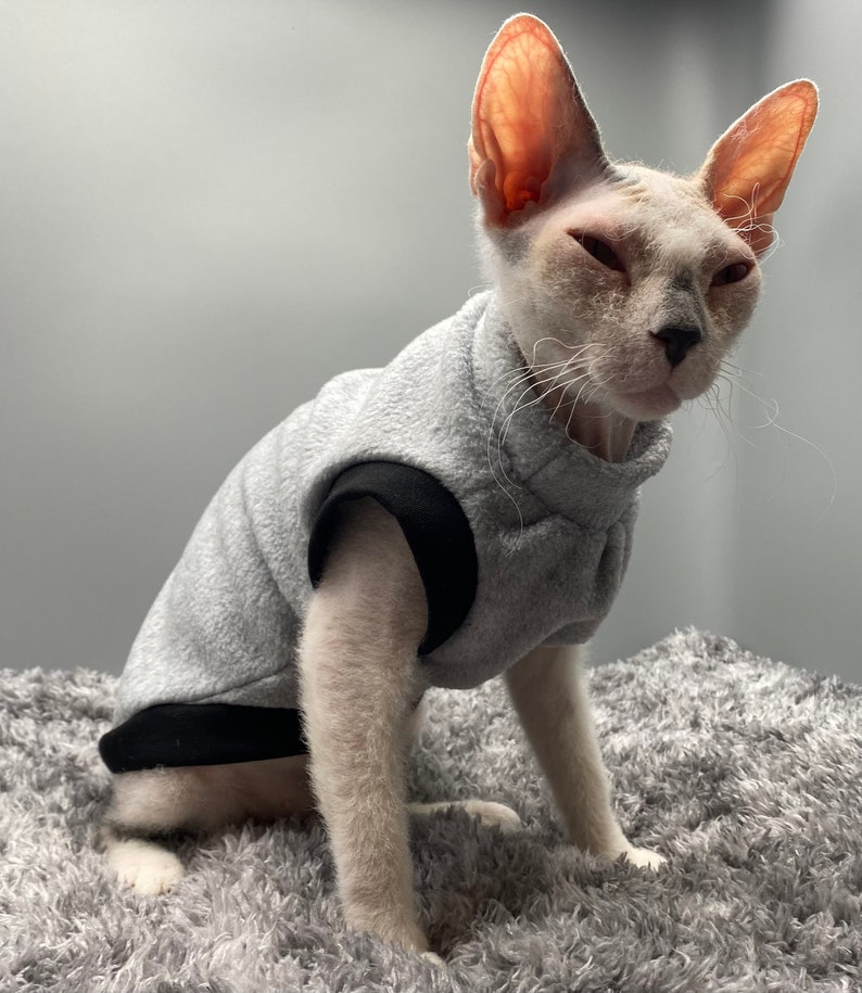 Pull chaud pour chat/chien, vêtements pour chat sphynx image 3