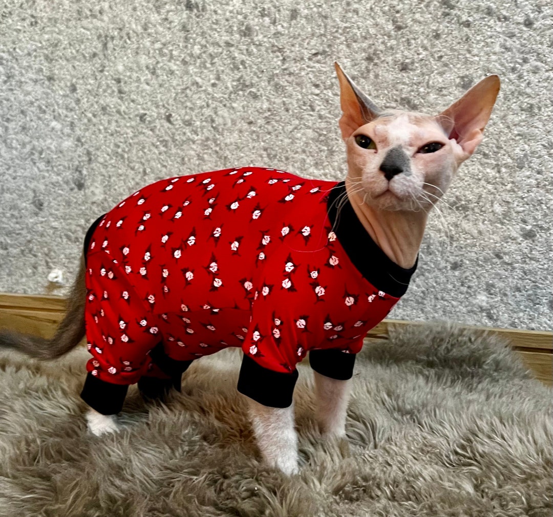 All in One Cat Pyjamas Ideal for Recovery Suit, Make Your Sphynx Cat Fashionable Etsy