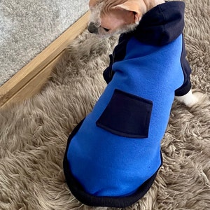 Sphynx cat clothes, sphynx jumper , sphynx cat hoodies , sphynx clothes, devon rex clothes, cat clothes, hairless cat